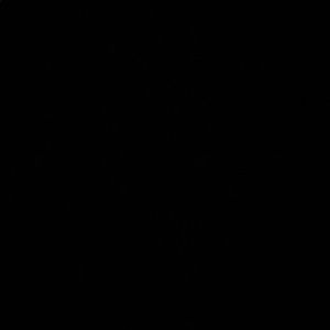 Meet your Posher, Belle